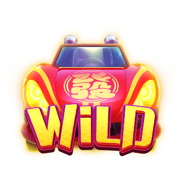 Wild Symbol